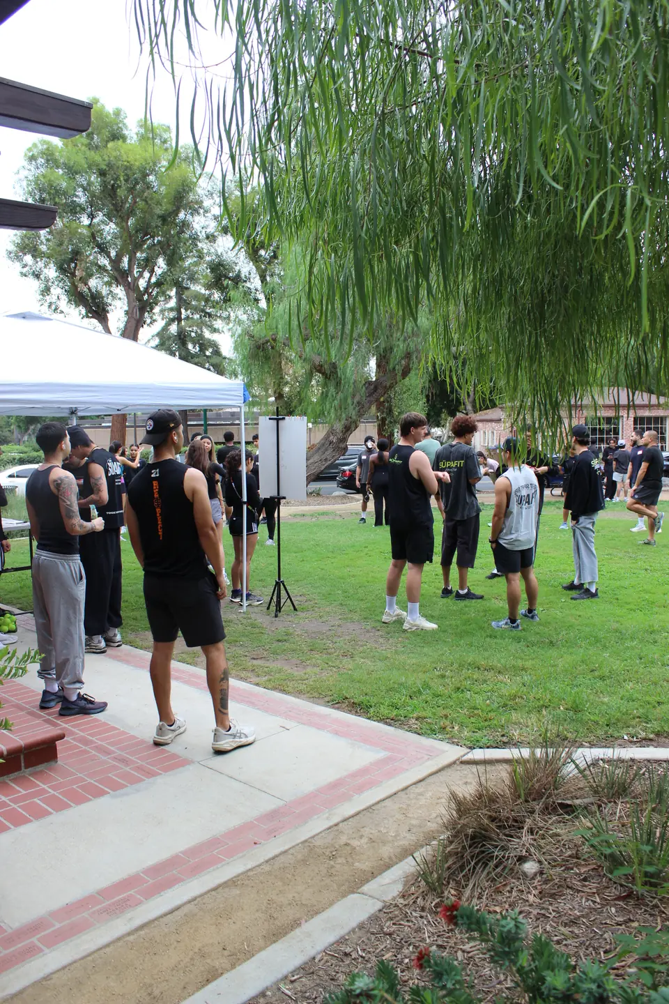 Crowd mingling on the lawn at Shelton Park under willow trees before the start