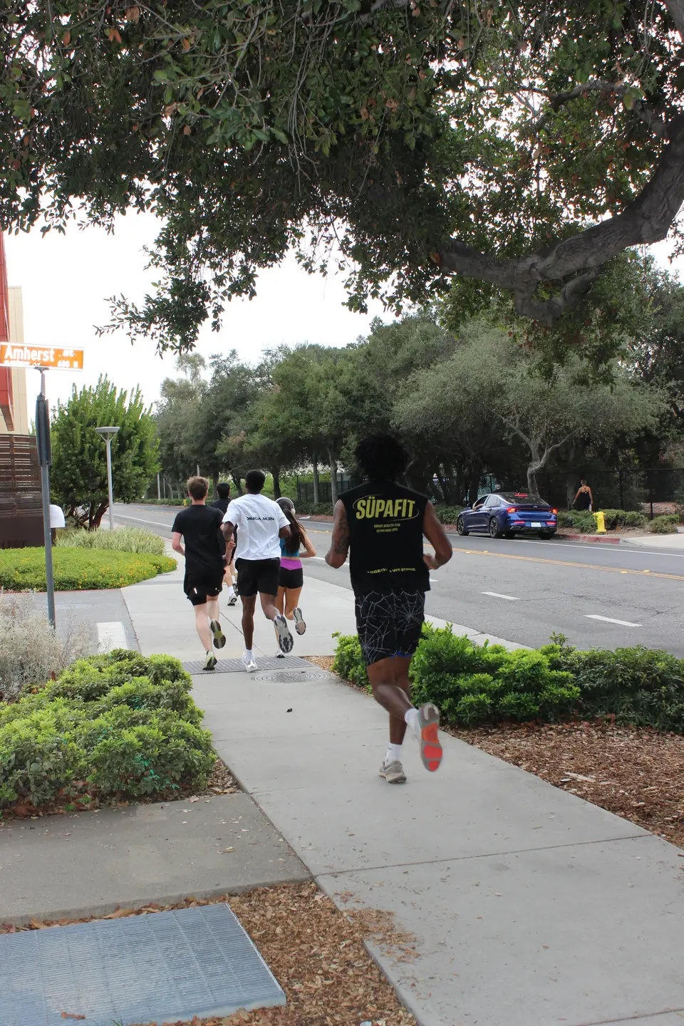 Small pack running down a shaded sidewalk past the Amherst Ave sign